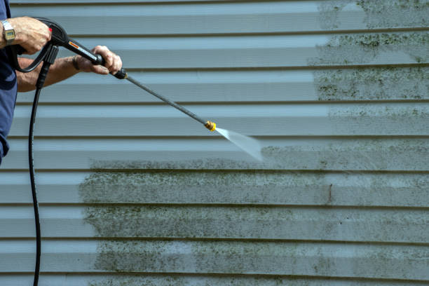 Best Residential Exterior Washing  in Harlowton, MT
